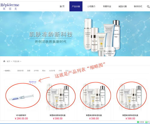 上海派網 一站式網站建設與SEO優化專家，助力企業在滬騰飛